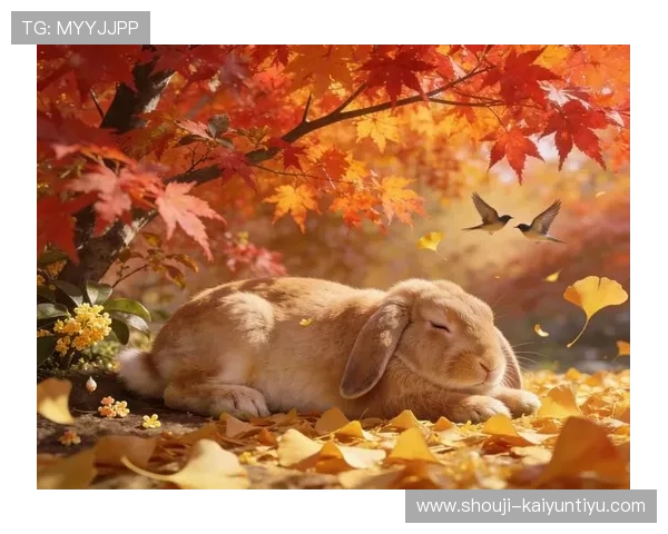 开运登录开启幸运之门，助你在新的一年里财运亨通事业腾飞